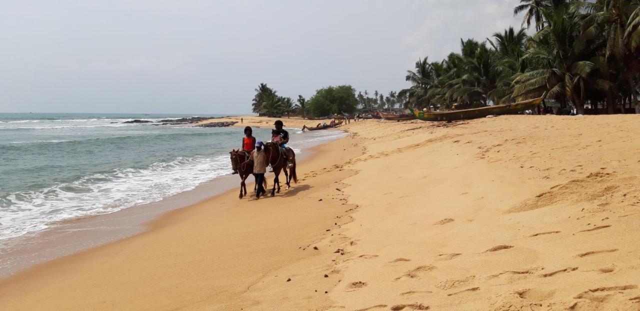 Отель Afiki Elmina Экстерьер фото